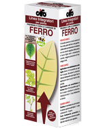 Ferro