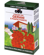 GERANI E PIANTE FIORITE