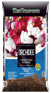 Orchidee