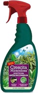 Anticocciniglia RTU - 500 ml - Blumen bio insetticida