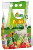 Pollina