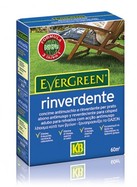 Evergreen rinverdente kg.2