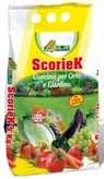 Skoriek kg. 1