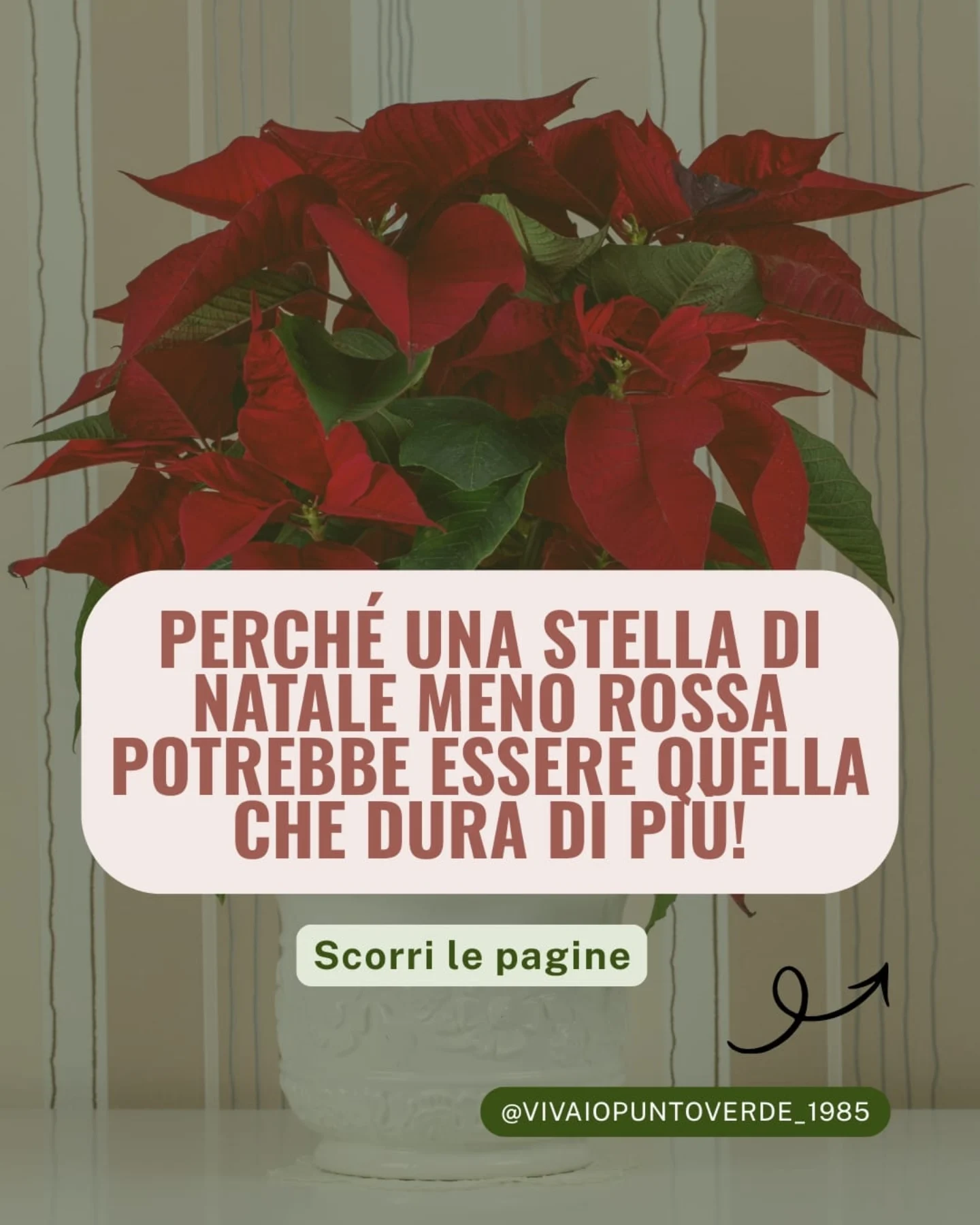 Creazione 4